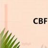 CBF125T好嗎（cbf125）