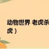 動物世界 老虎殺獅子 完整視頻錄像（動物世界獅子大戰老虎）