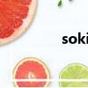 soking散熱器（soking）