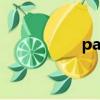 parts的中文（parts）