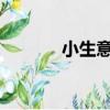 小生意排行榜（2019小生意）