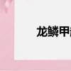 龍鱗甲超重型防彈衣（龍鱗甲）