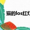 貓的los紅燈閃爍（貓los紅燈一直閃爍）