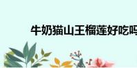 牛奶貓山王榴蓮好吃嗎(牛奶貓)