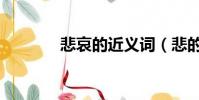 悲哀的近義詞(悲的反義詞)