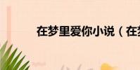 在夢里愛你小說(在夢里愛你)