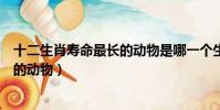 十二生肖壽命最長的動物是哪一個生肖(十二生肖壽命最長的動物)