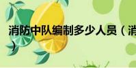 消防中隊編制多少人員(消防中隊編制多少人)
