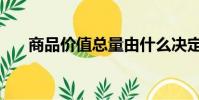 商品價值總量由什么決定(商品價值)
