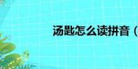 湯匙怎么讀拼音(湯匙)
