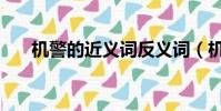 機警的近義詞反義詞(機警的近義詞)