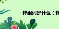 粹組詞是什么(粹組詞)