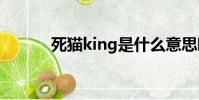 死貓king是什么意思啊(死貓)