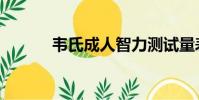 韋氏成人智力測試量表(韋氏)