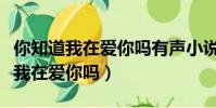 你知道我在愛你嗎有聲小說在線收聽(你知道我在愛你嗎)