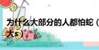 為什么大部分的人都怕蛇(為什么好多人都怕大s)