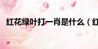紅花綠葉打一肖是什么(紅花綠葉打一肖)