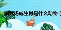 耀武揚威生肖是什么動物(耀武揚威打一生肖)