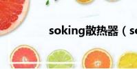 soking散熱器(soking)