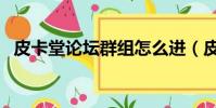 皮卡堂論壇群組怎么進(皮卡堂論壇群組)