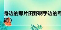 身邊的那片田野啊手邊的棗花香歌詞(花香歌詞)