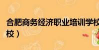 合肥商務經濟職業培訓學校(合肥商務經濟學校)