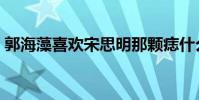 郭海藻喜歡宋思明那顆痣什么意思(郭海藻)