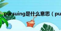 pursuing是什么意思(pursuit什么意思)