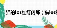 貓的los紅燈閃爍(貓los紅燈一直閃爍)