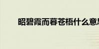 昭碧霞而暮蒼梧什么意思(昭碧霞)