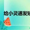給小靈通發短信多少錢（給小靈通發短信）