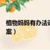植物媽媽有辦法課文教案第一課時（植物媽媽有辦法課文教案）