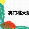 夾竹桃天蛾幼蟲怎么養（夾竹桃天蛾）