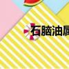 石腦油屬于幾類危險品（石腦油）