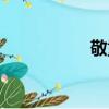 敬重的反義詞（敬重）