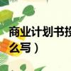 商業計劃書投融資分析怎么寫（投融資分析怎么寫）