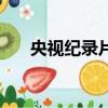 央視紀錄片十大排行榜（央視紀錄片）