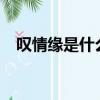 嘆情緣是什么意思?（嘆情緣是什么意思）