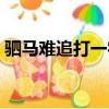 駟馬難追打一字從題四豐（駟馬難追打一字）