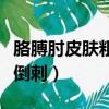 胳膊肘皮膚粗糙倒刺怎么辦（胳膊肘皮膚粗糙倒刺）