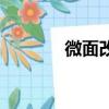 微面改裝露營車（微面改裝）