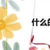 什么的問候?（什么的問候）