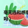 毫無違和感褒義還是貶義（毫無違和感是好詞嗎）