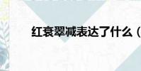紅衰翠減表達了什么(紅衰翠減)