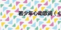 若少年心動歌詞(心動歌詞)
