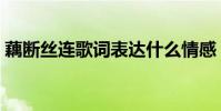 藕斷絲連歌詞表達什么情感(藕斷絲連歌詞)