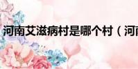 河南艾滋病村是哪個村(河南艾滋病村在哪)