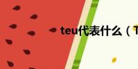 teu代表什么(TEU)