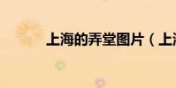 上海的弄堂圖片(上海的弄堂)