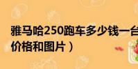 雅馬哈250跑車多少錢一臺(雅馬哈250街跑價格和圖片)